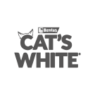 Cat's White