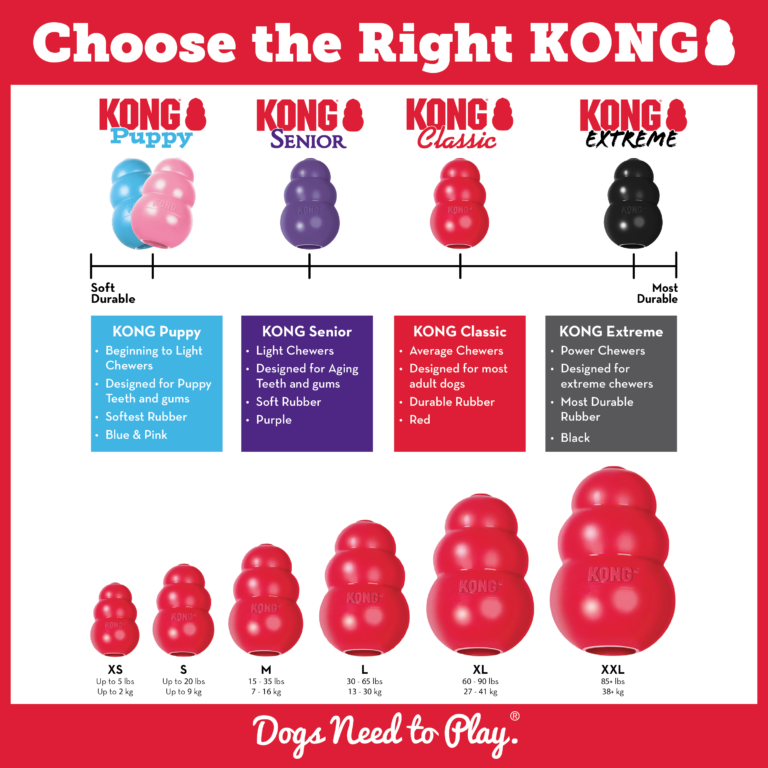 Kong