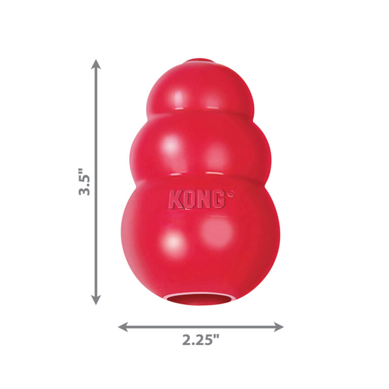 kong medium 2