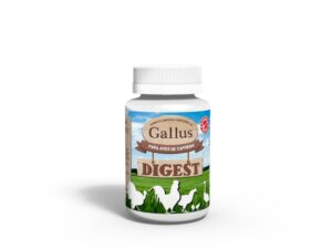 Gallus Digest 200ml - Avizoon
