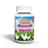 Gallus Rhino - Avizoon
