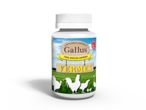 Gallus Vermes - Avizoon