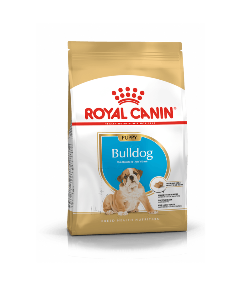Bulldog Puppy 12Kg