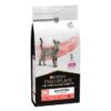 Cat Diabetes Management - Pro Plan Vet
