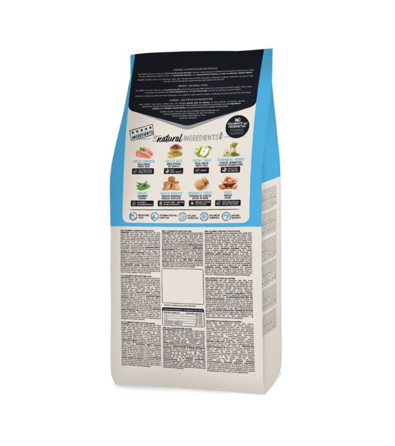 Cat Kitten - Ownat 3