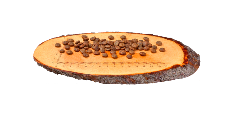 Cat Sterilized Truta 2