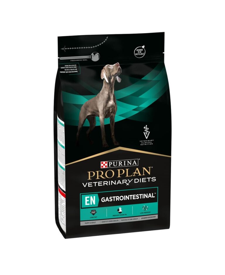 Dog Gastroinestinal