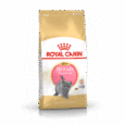 Cat British Shorthair Kitten 2Kg - Royal Canin