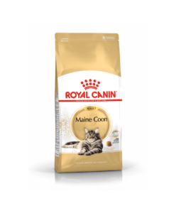 Cat Maine Coon Adult - Roya Canin