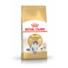 Cat Norwegian Forest Adult - Royal Canin