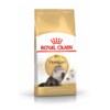 Cat Adult Persian - Royal Canin