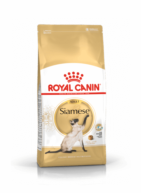 Cat Siamese Adult 2Kg - Royal Canin