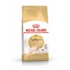 Cat Sphynx Adult - Royal Canin