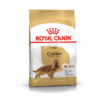 Dog Cocker Adult - Royal Canin