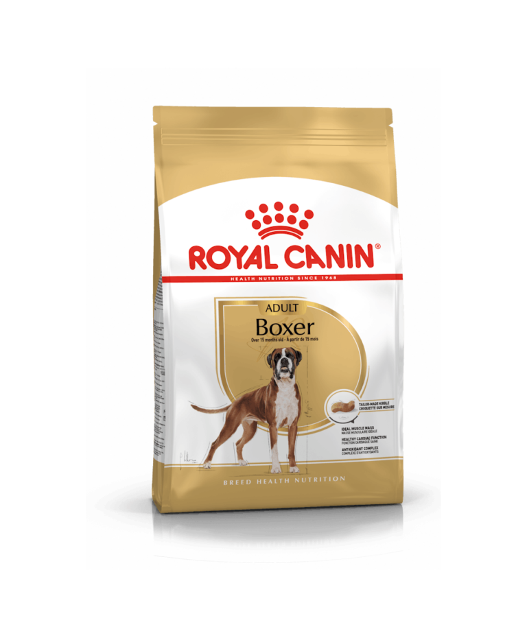 Dog Boxer 12Kg