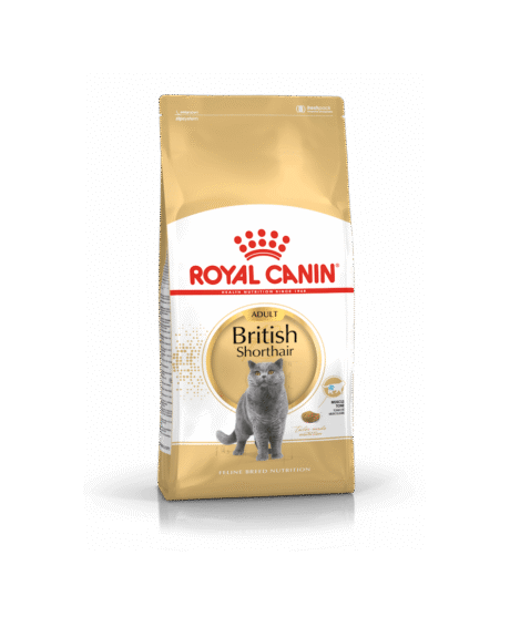 Cat British Shorthair Adult 2Kg - Royal Canin