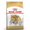 Dog Adult Dalmatian 12Kg - Royal Canin
