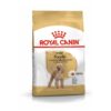 Dog Adult Poodle Caniche - Royal Canin
