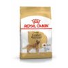 Dog Adult Golden Retriever 12Kg - Royal Canin