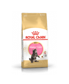 Cat Kitten Maine Coon 4Kg - Royal Canin