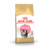 Cat Kitten Persian - Royal Canin