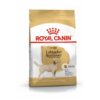 Dog Labrador Retriever Adult - Royal Canin