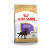 Dog Labrador Retriever Adult Sterilized 12Kg - Royal Canin