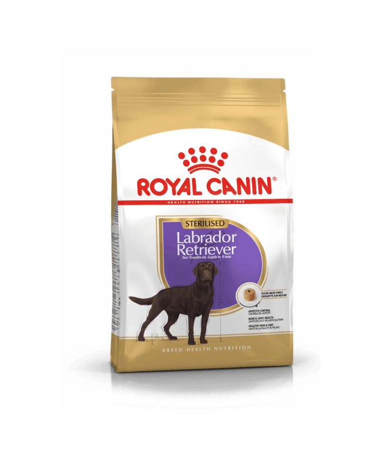 Labrador Sterilized