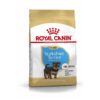 Dog Puppy Yorkshire Terrier - Royal Canin