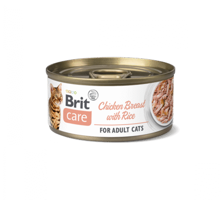 Cat Care Wet Peito de Frango C/Arroz 6 x 70Gr - Brit