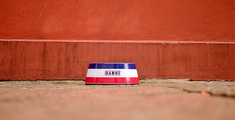 Bowl-RedBlue