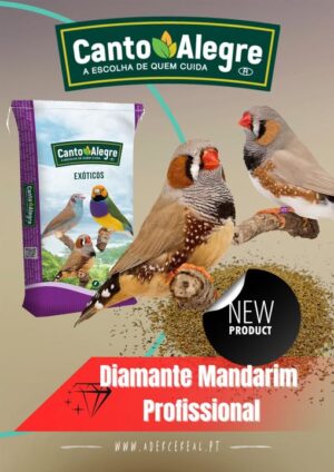Diamante Mandarim Profissional 20kg - Canto Alegre