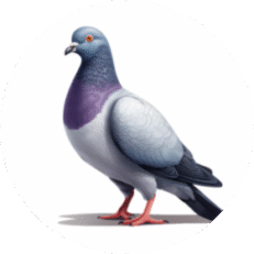 Pombos