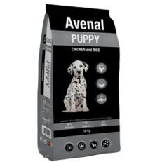 Dog Puppy 4Kg