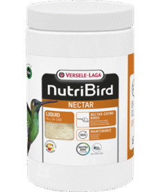 Nectar  700g