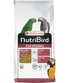 P19 Original 10kg