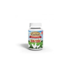 Gallus 20/20 - Avizoon