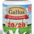 Gallus 20/20 - Avizoon