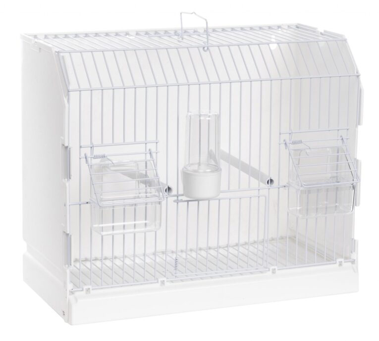 Art_315FB3A-2048x1844