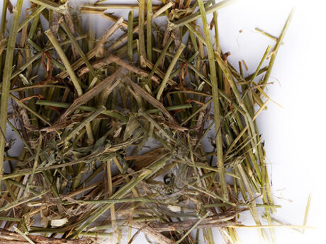 MATERIAL DE NIDIFICAÇÃO PARA PSITACÍDEOS 250 g