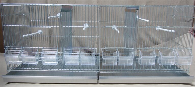 mz130-viveiro-galiza_61_xl-1