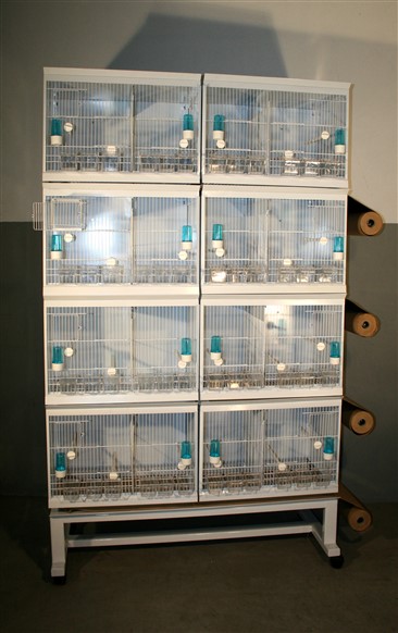 SUPORTE P/VIV. CRIADOR GALIZA 120CM