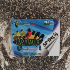 Cardinalitos 4Kg