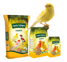 Canário Mosaico C/Aveia S/Perrilha 20Kg