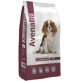 Avenal Dog Mini 20Kg
